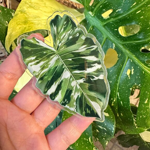 Set of 9 Handmade Anthurium Leaf Resin Fridge Magnets, Tropical Plant Decor - Picture 2 of 10